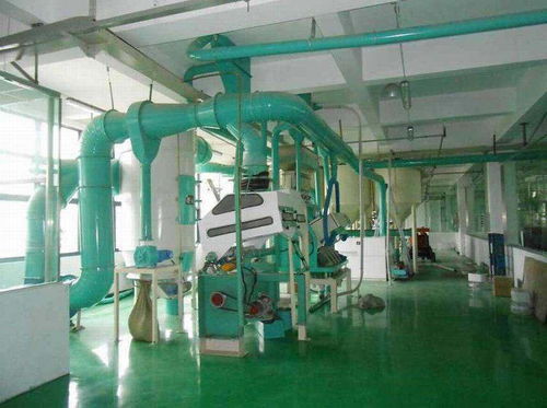 办一个面粉加工厂需要投资多少