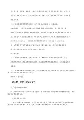 医院内部审计报告-wenkub